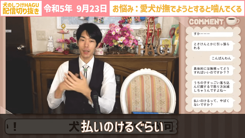 【切り抜き】撫でようとするだけで噛みつかれる！どうすればいい？#dogtraining #犬のいる生活 #犬のしつけ