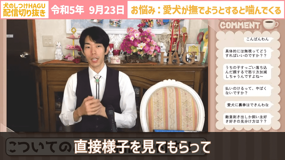 【切り抜き】撫でようとするだけで噛みつかれる！どうすればいい？#dogtraining #犬のいる生活 #犬のしつけ