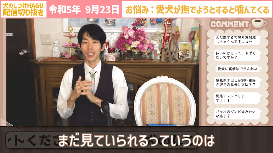 【切り抜き】撫でようとするだけで噛みつかれる！どうすればいい？#dogtraining #犬のいる生活 #犬のしつけ