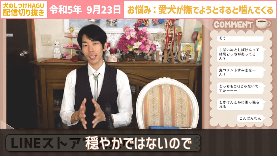 【切り抜き】撫でようとするだけで噛みつかれる！どうすればいい？#dogtraining #犬のいる生活 #犬のしつけ