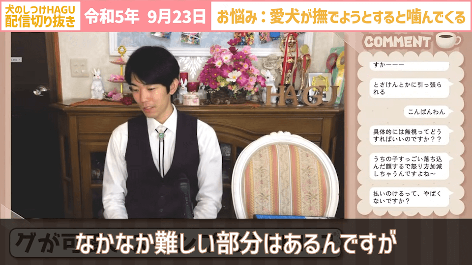 【切り抜き】撫でようとするだけで噛みつかれる！どうすればいい？#dogtraining #犬のいる生活 #犬のしつけ