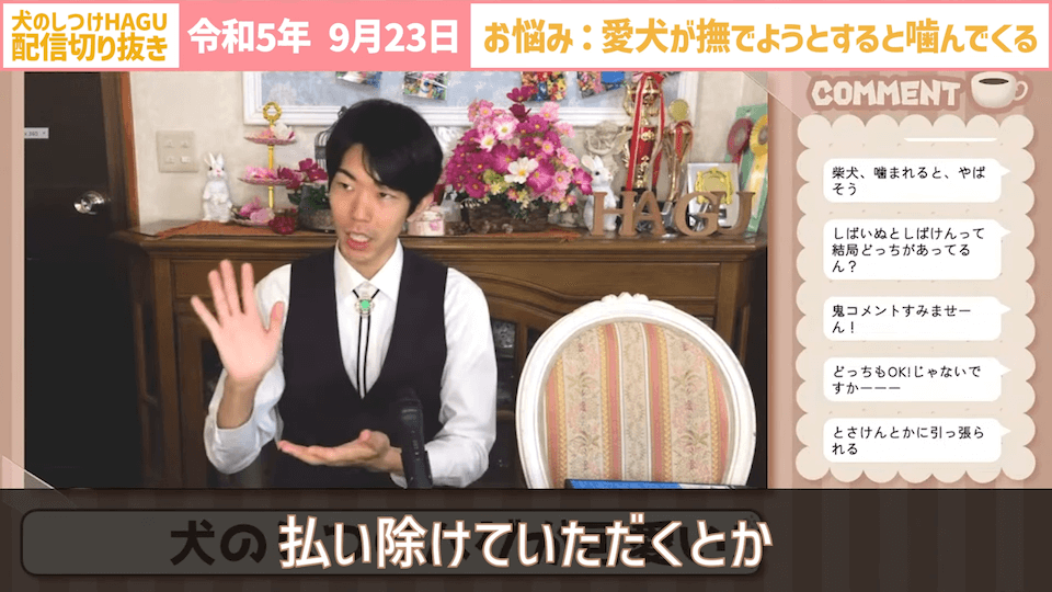 【切り抜き】撫でようとするだけで噛みつかれる！どうすればいい？#dogtraining #犬のいる生活 #犬のしつけ