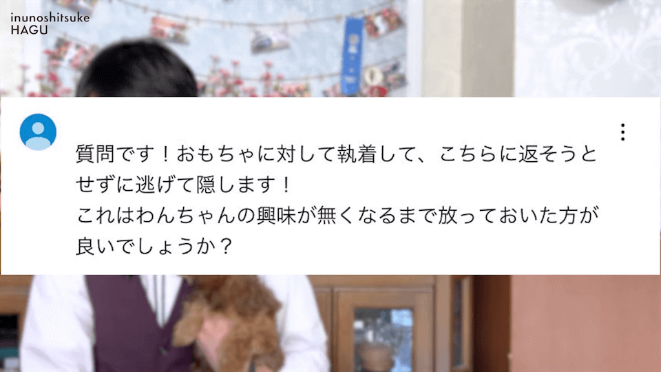 愛犬がおもちゃを奪って逃げちゃう！その行動…〇〇をしているせいかもしれません！