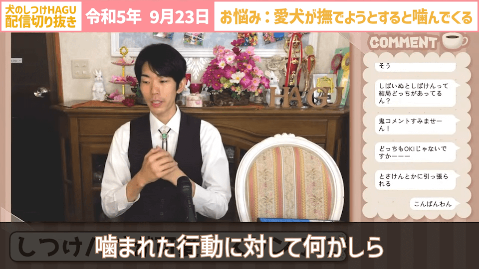 【切り抜き】撫でようとするだけで噛みつかれる！どうすればいい？#dogtraining #犬のいる生活 #犬のしつけ