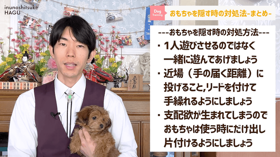 愛犬がおもちゃを奪って逃げちゃう！その行動…〇〇をしているせいかもしれません！