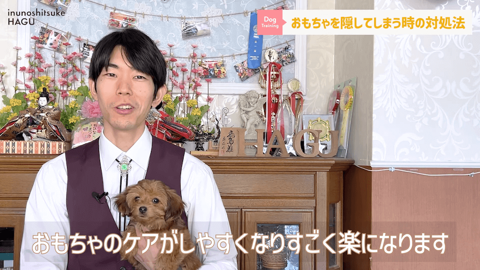 愛犬がおもちゃを奪って逃げちゃう！その行動…〇〇をしているせいかもしれません！