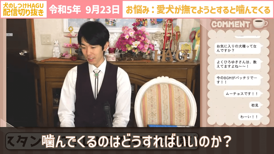 【切り抜き】撫でようとするだけで噛みつかれる！どうすればいい？#dogtraining #犬のいる生活 #犬のしつけ