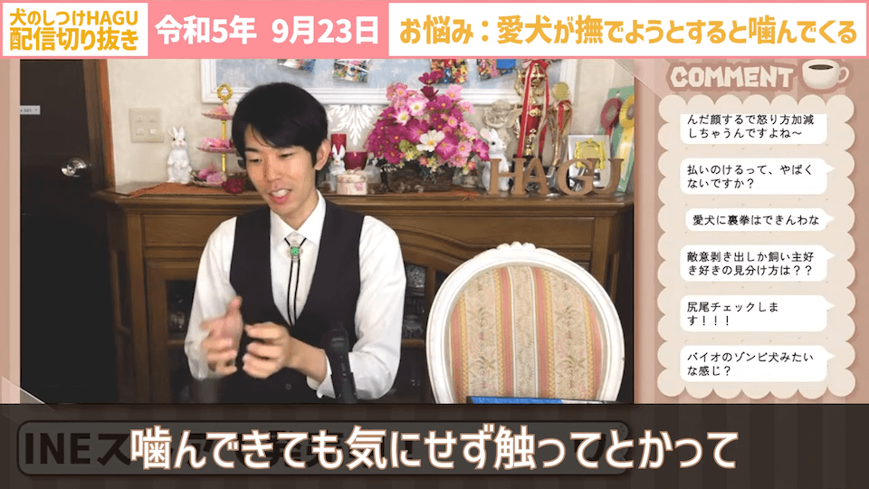 【切り抜き】撫でようとするだけで噛みつかれる！どうすればいい？#dogtraining #犬のいる生活 #犬のしつけ