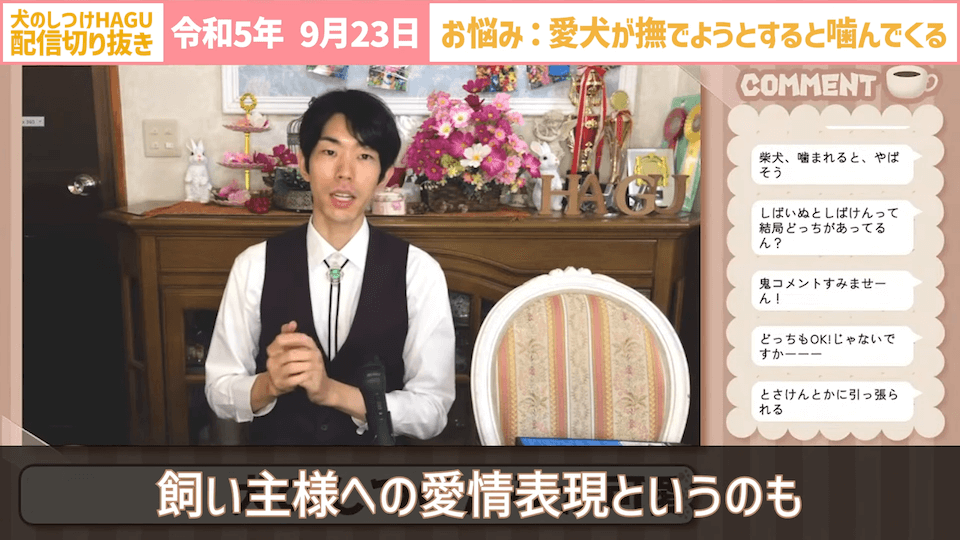 【切り抜き】撫でようとするだけで噛みつかれる！どうすればいい？#dogtraining #犬のいる生活 #犬のしつけ