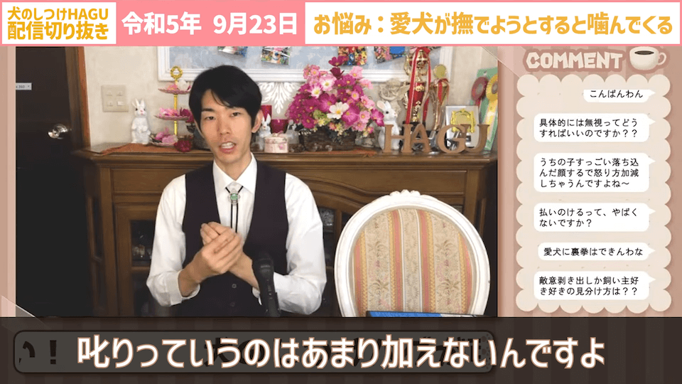 【切り抜き】撫でようとするだけで噛みつかれる！どうすればいい？#dogtraining #犬のいる生活 #犬のしつけ