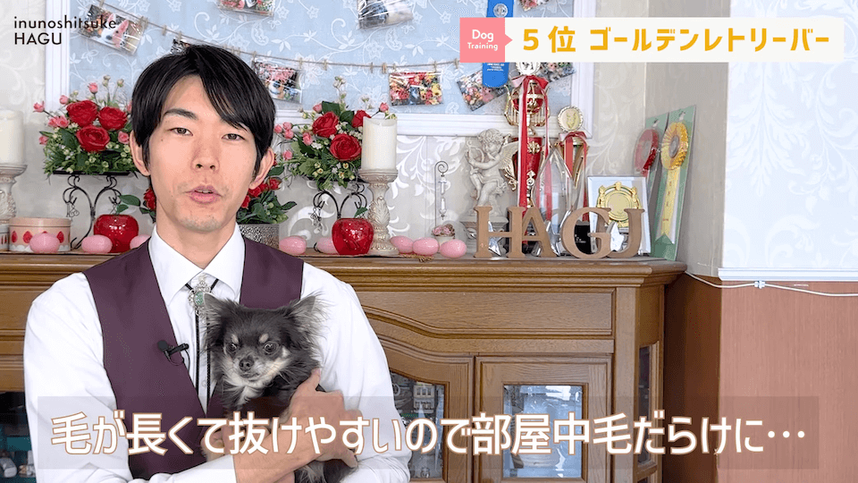 プロドッグトレーナーが選ぶ！「飼いやすい犬種トップ５」１位は意外な犬種？！