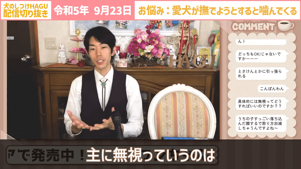 【切り抜き】撫でようとするだけで噛みつかれる！どうすればいい？#dogtraining #犬のいる生活 #犬のしつけ