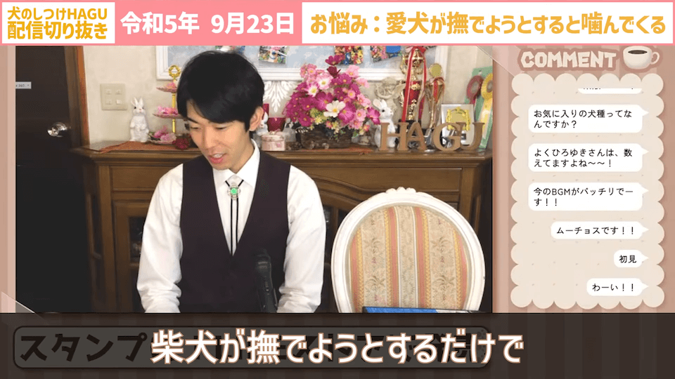 【切り抜き】撫でようとするだけで噛みつかれる！どうすればいい？#dogtraining #犬のいる生活 #犬のしつけ