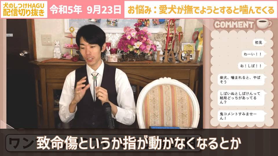 【切り抜き】撫でようとするだけで噛みつかれる！どうすればいい？#dogtraining #犬のいる生活 #犬のしつけ