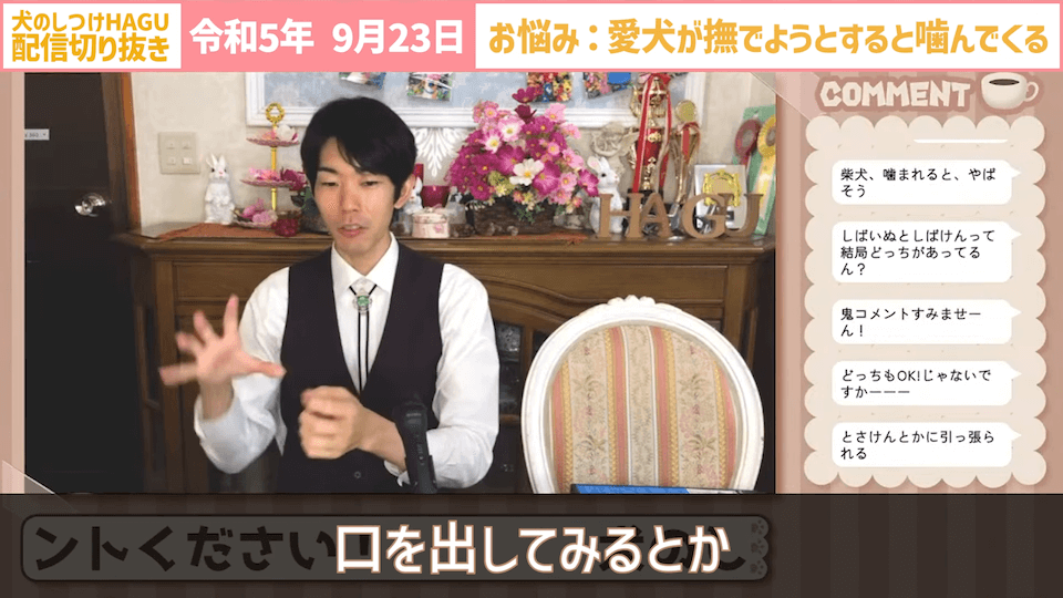 【切り抜き】撫でようとするだけで噛みつかれる！どうすればいい？#dogtraining #犬のいる生活 #犬のしつけ