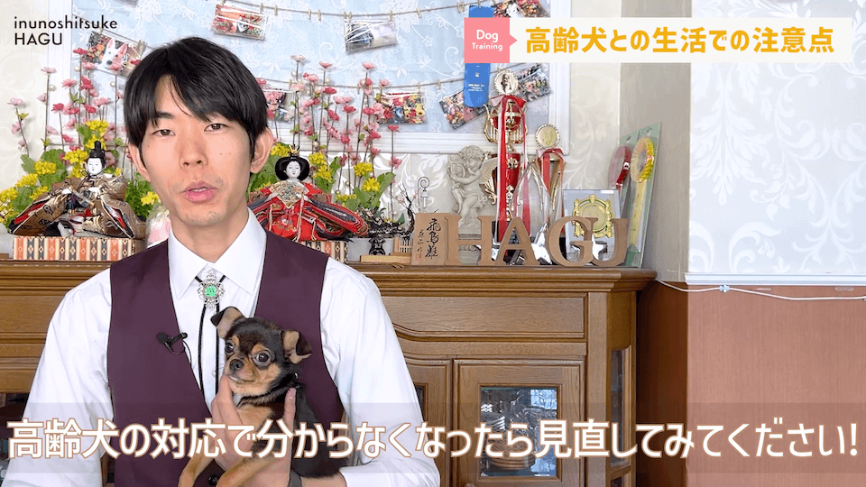 老犬との生活にはどんな対策があるのか…プロドッグトレーナーが解説します！