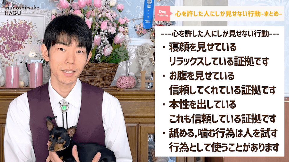 意外と知らない！わんちゃんが心を許した人にしか見せない行動3選！