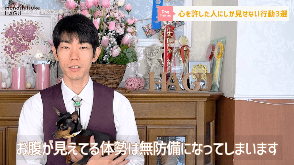 意外と知らない！わんちゃんが心を許した人にしか見せない行動3選！