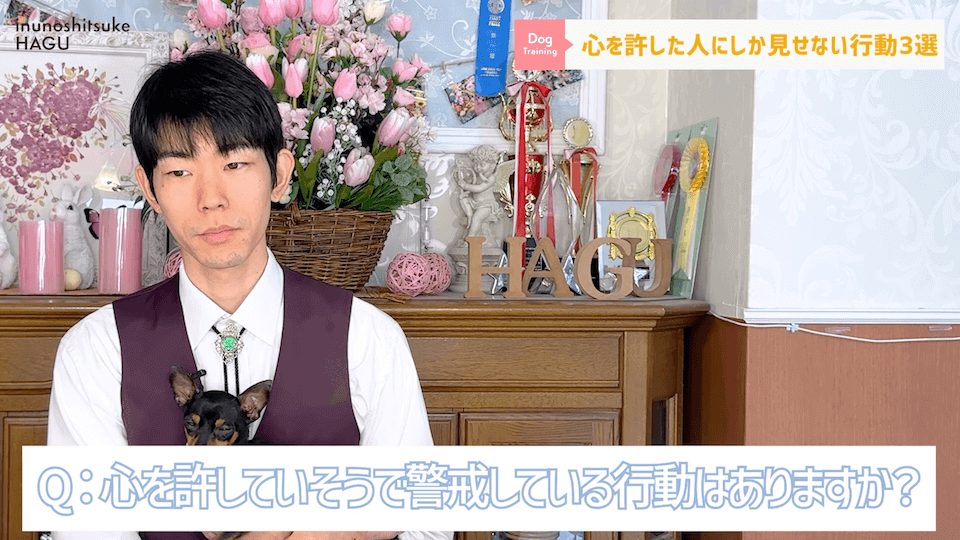 意外と知らない！わんちゃんが心を許した人にしか見せない行動3選！