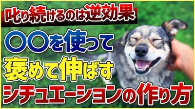 「叱るだけ」は絶対NG！褒めて伸ばせるシチュエーションの作り方！