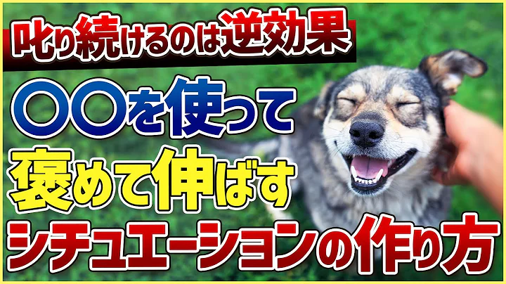 「叱るだけ」は絶対NG！褒めて伸ばせるシチュエーションの作り方！