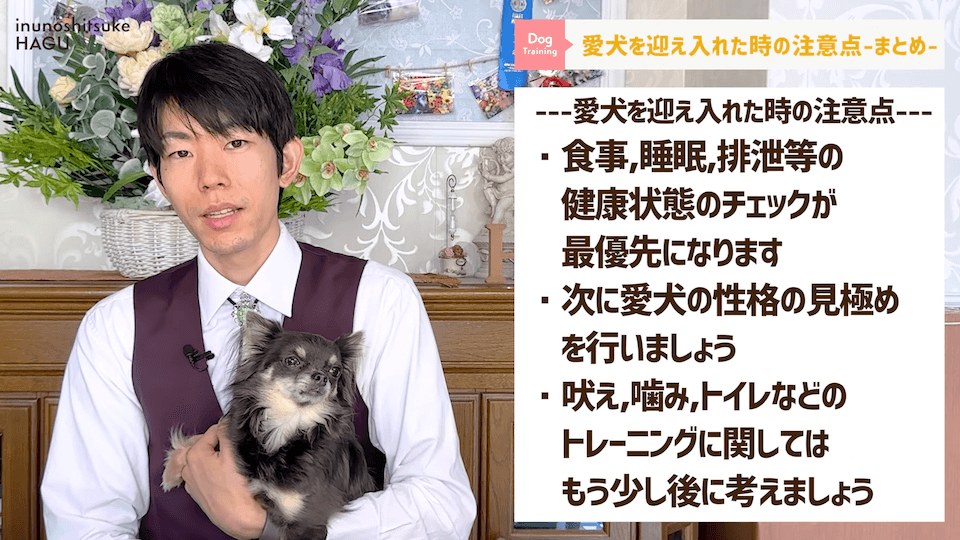 飼い主初心者さんに向け！ワンちゃんを迎え入れてすぐにやるべき行動解説！