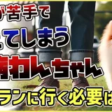 ドッグランの好き嫌いは環境次第!ドッグランの相性と効果を解説!