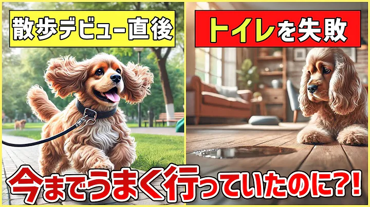 お散歩デビューした途端トイレ失敗!うまく行かない理由と解決法をプロドッグトレーナーが解説!