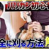 トリミングにバリカンを使ってみたい人向け!後悔しないトリミング方法を解説!