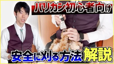 トリミングにバリカンを使ってみたい人向け！後悔しないトリミング方法を解説！