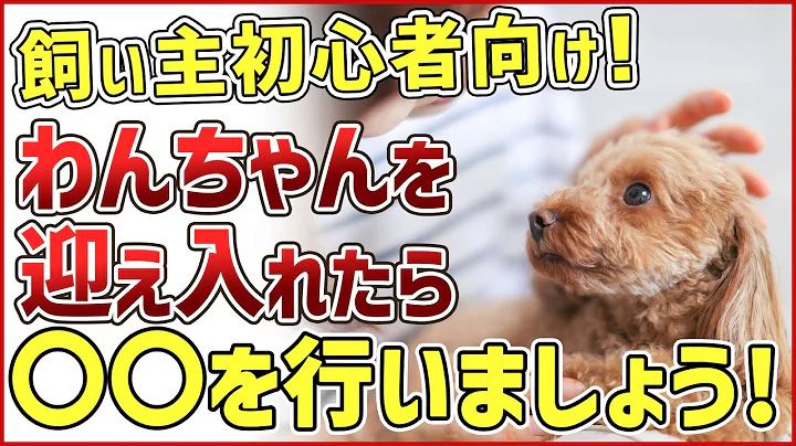 飼い主初心者さんに向け!ワンちゃんを迎え入れてすぐにやるべき行動解説!