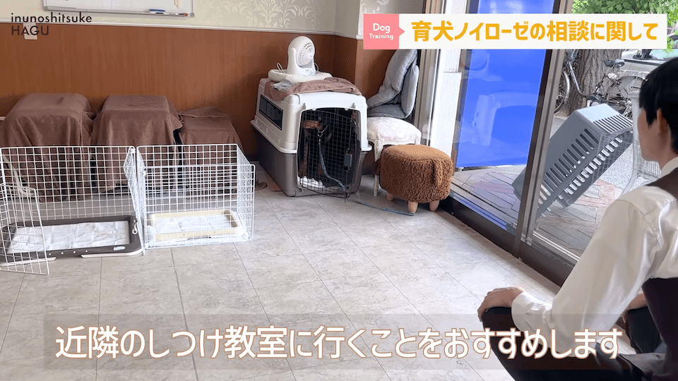 【#育犬ノイローゼ】視聴者さんからの質問に徹底返答！愛犬には適切な〇〇が必要です！