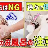 飼い主さんに覚えて欲しい!自宅で愛犬をお風呂に入れる時の注意点!