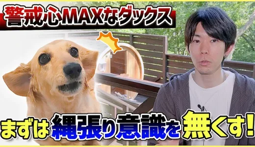 吠える！舐める！パニック！愛犬の警戒心にはどうすればいいの？