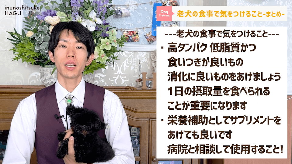 老犬へのご飯は何に気を付ける？ドッグトレーナーが解説します！