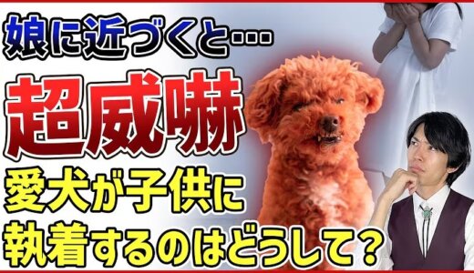 5歳の娘に近づくと超威嚇！子供に執着するワンちゃんへのお悩み