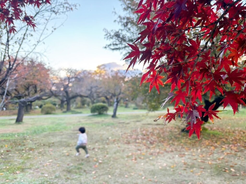 2025年　新年のご挨拶 【犬のしつけ教室】世田谷と文京区のおやつなしの犬のしつけ、トイレトレーニング、吠え、噛み癖専門に14年。 ドッグホテル、犬と泊まれるコテージ、幼稚園、年中無休