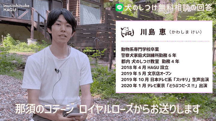 犬のしつけ LINE 無料相談 【4か月ボーダーコリー】早々に反抗期！？本気噛みと威嚇をする愛犬への対処法を解説！那須 犬と一緒に泊まれるコテージから