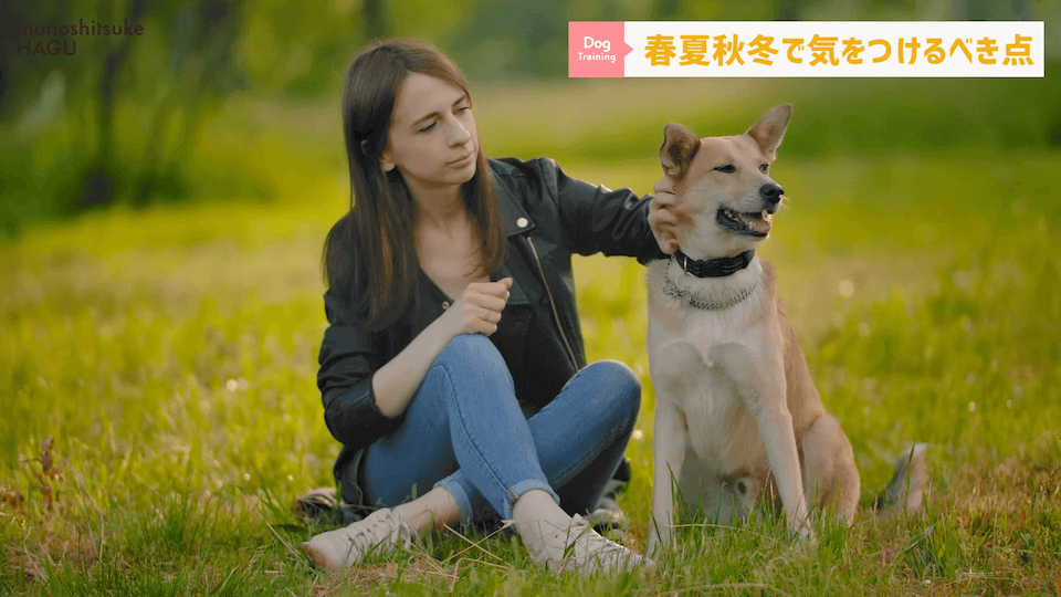 【春夏秋冬】愛犬のシーズンごとに気を付けるべき事を解説！