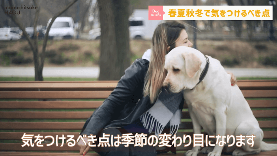 【春夏秋冬】愛犬のシーズンごとに気を付けるべき事を解説！