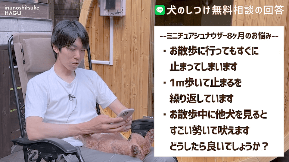 お散歩中1mで止まる＆他犬への吠え癖！飼い主さんへアドバイス！