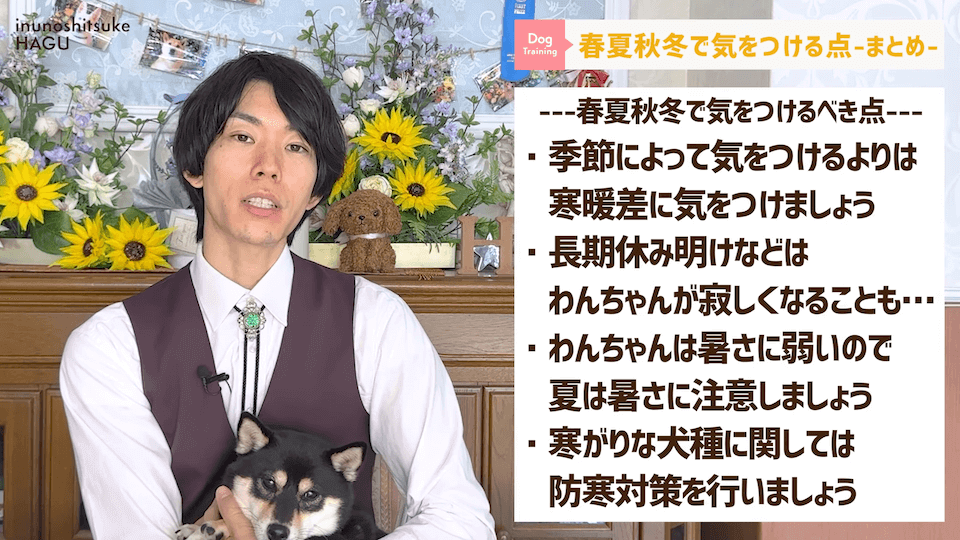 【春夏秋冬】愛犬のシーズンごとに気を付けるべき事を解説！