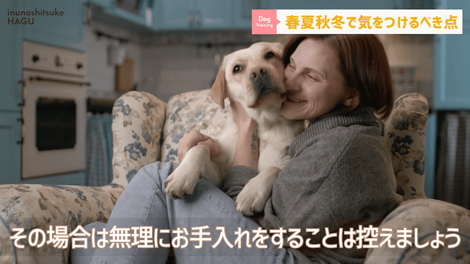 【春夏秋冬】愛犬のシーズンごとに気を付けるべき事を解説！