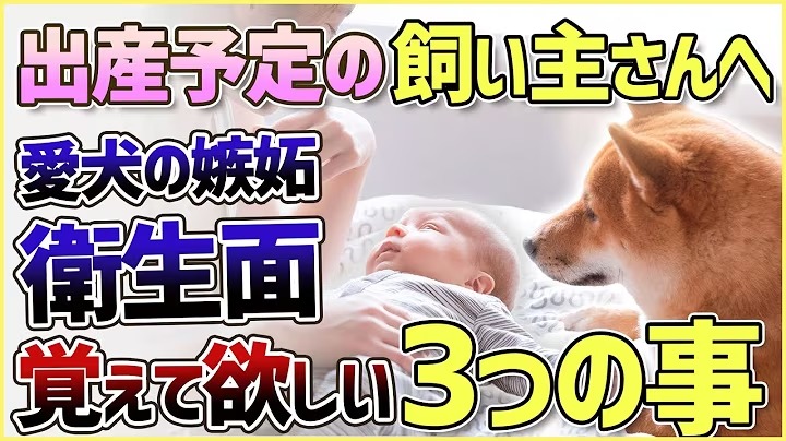 赤ちゃんが生まれる予定の飼い主さんには覚えて欲しい3つの事！