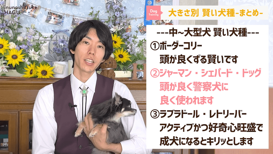 プロドッグトレーナーが選ぶ「賢い犬種６選」