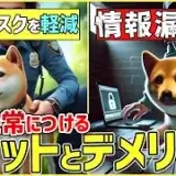 日常的に首輪を着けておくのはアリ？ナシ？ドッグトレーナーが解説【メリット・デメリット】