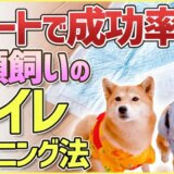 どうすればいい？！多頭飼いのトイレトレーニング方法を解説！