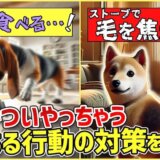 わんちゃんのあるある行動…その対策法をトレーナーが解説します！