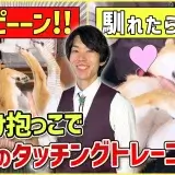 【初心者向け】抱っこに慣れていない飼い主さん必見！仰向け抱っこのやり方解説