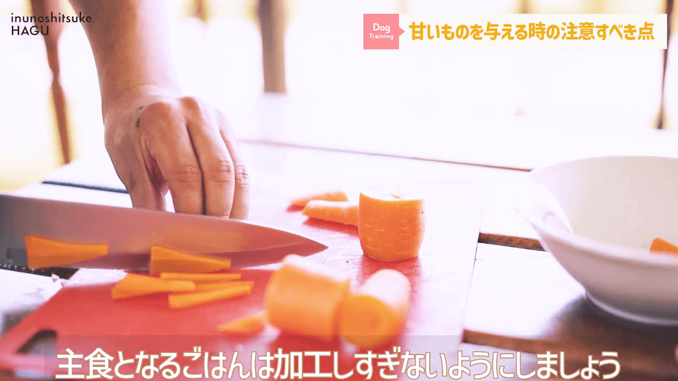ワンちゃんに甘いものって大丈夫？「〇〇」には注意が必要です！